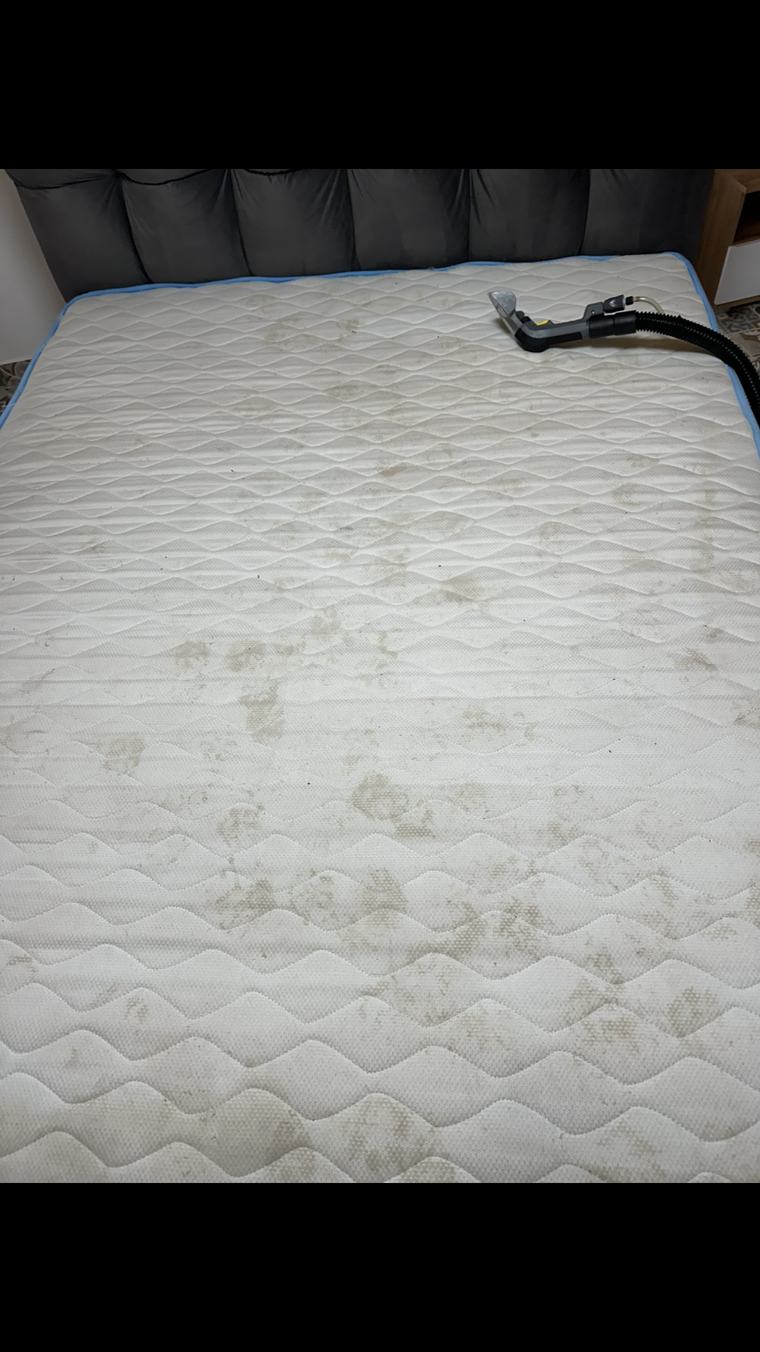 Before photo for Upholstery Cleaning