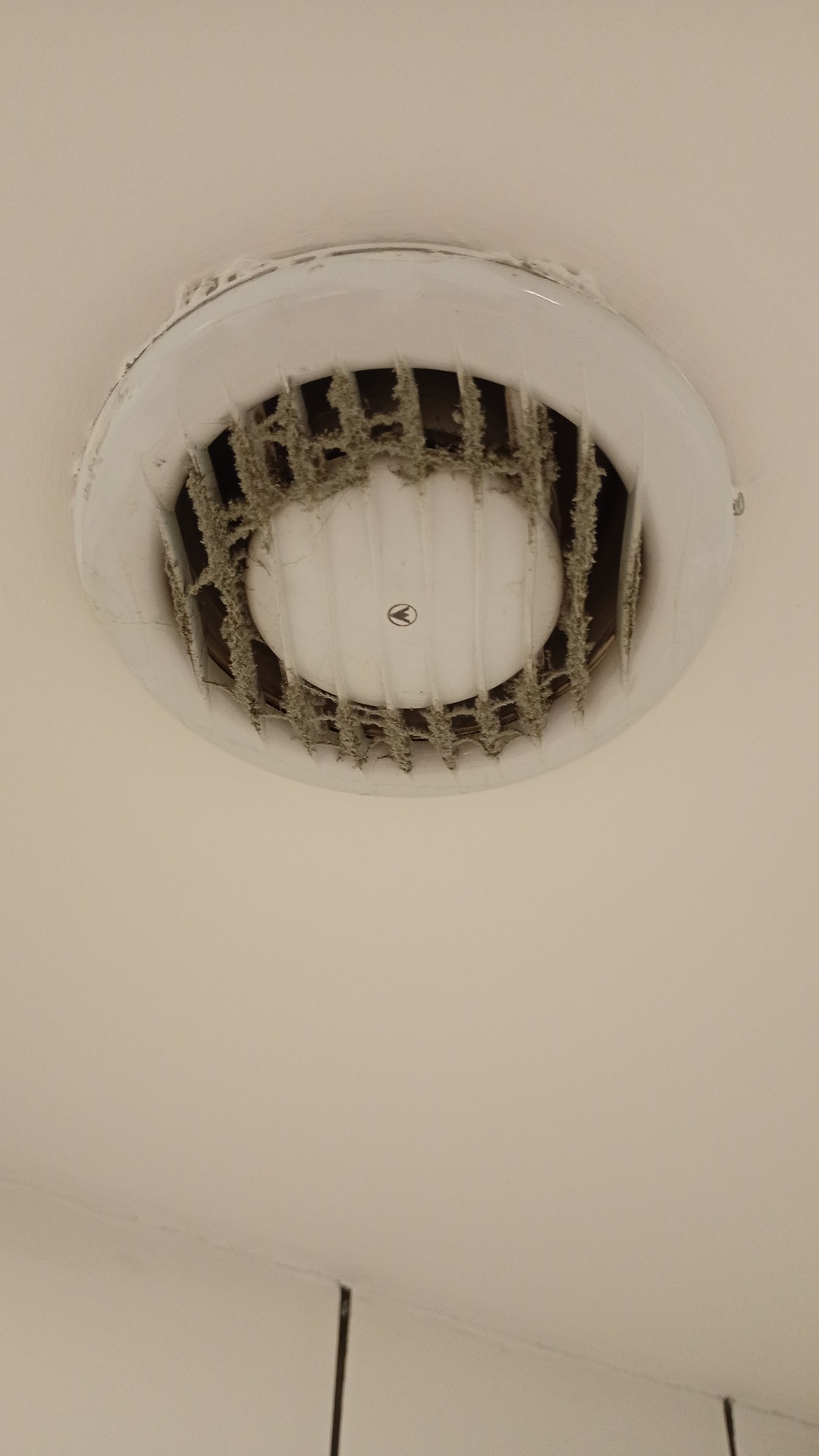 Before photo for Почистване на баня