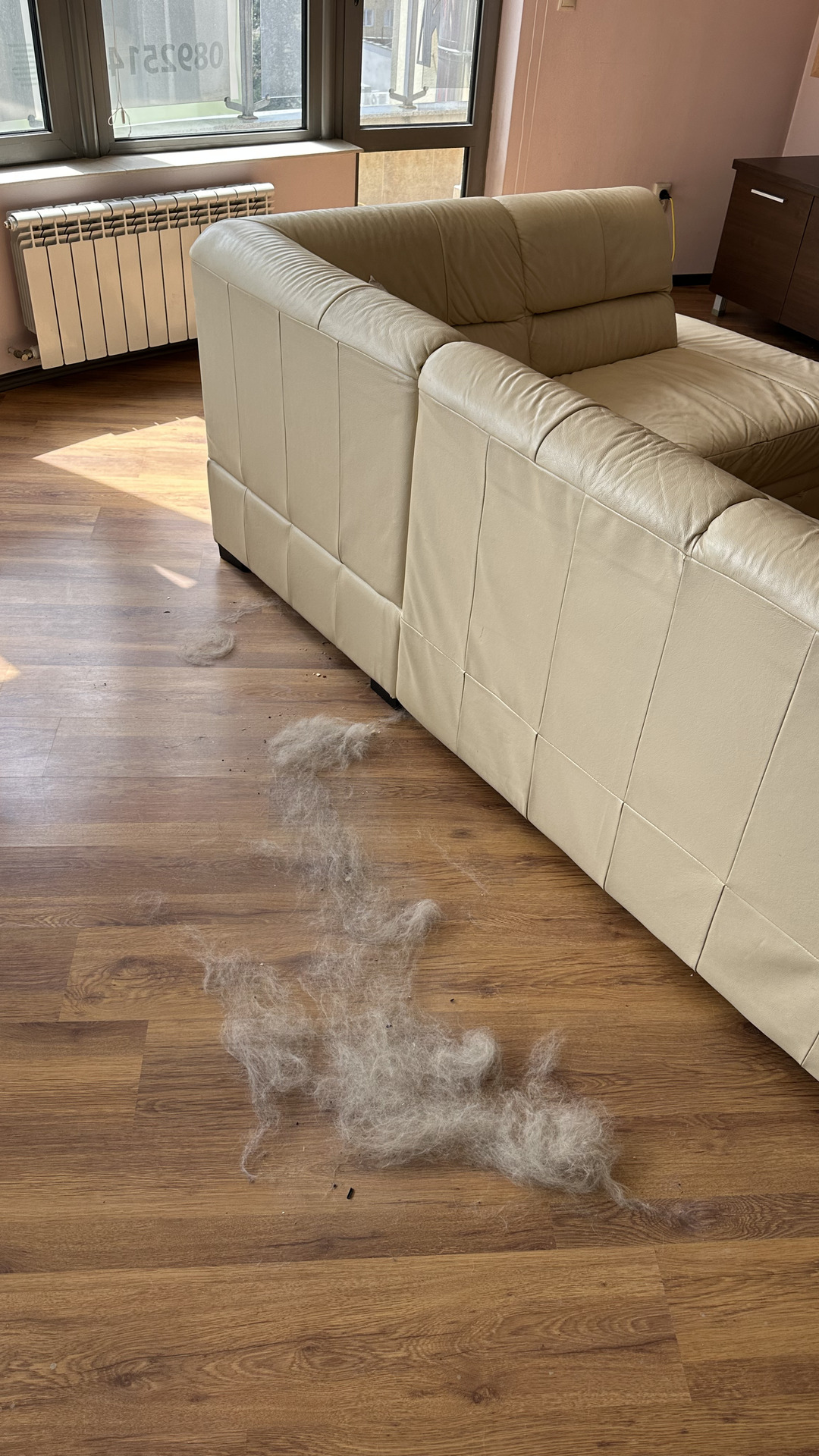 Before photo for Основно почистване