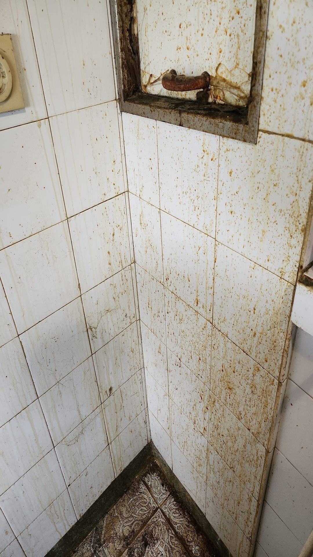 Before photo for Deep Cleaning