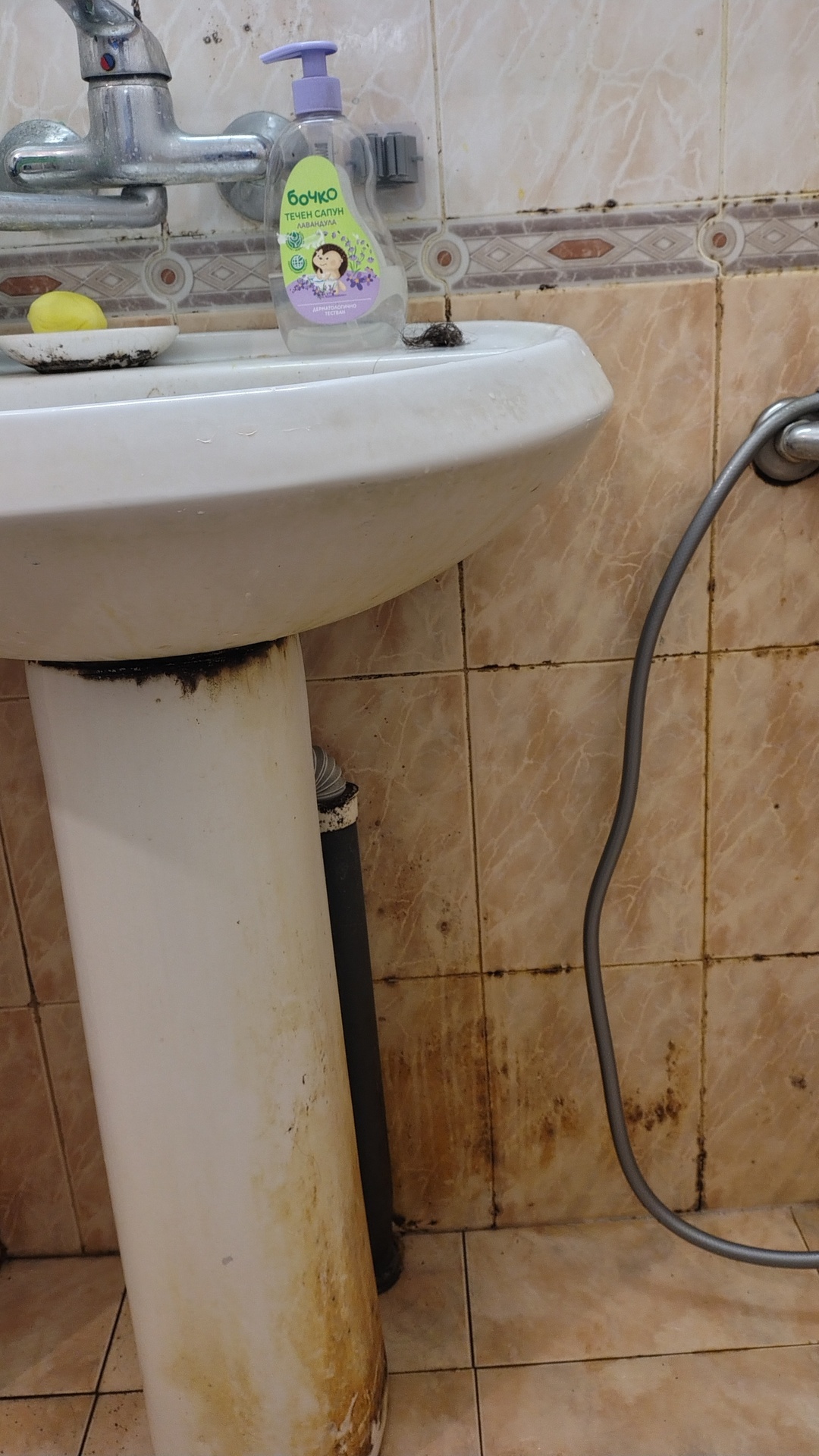 Before photo for Почистване на баня