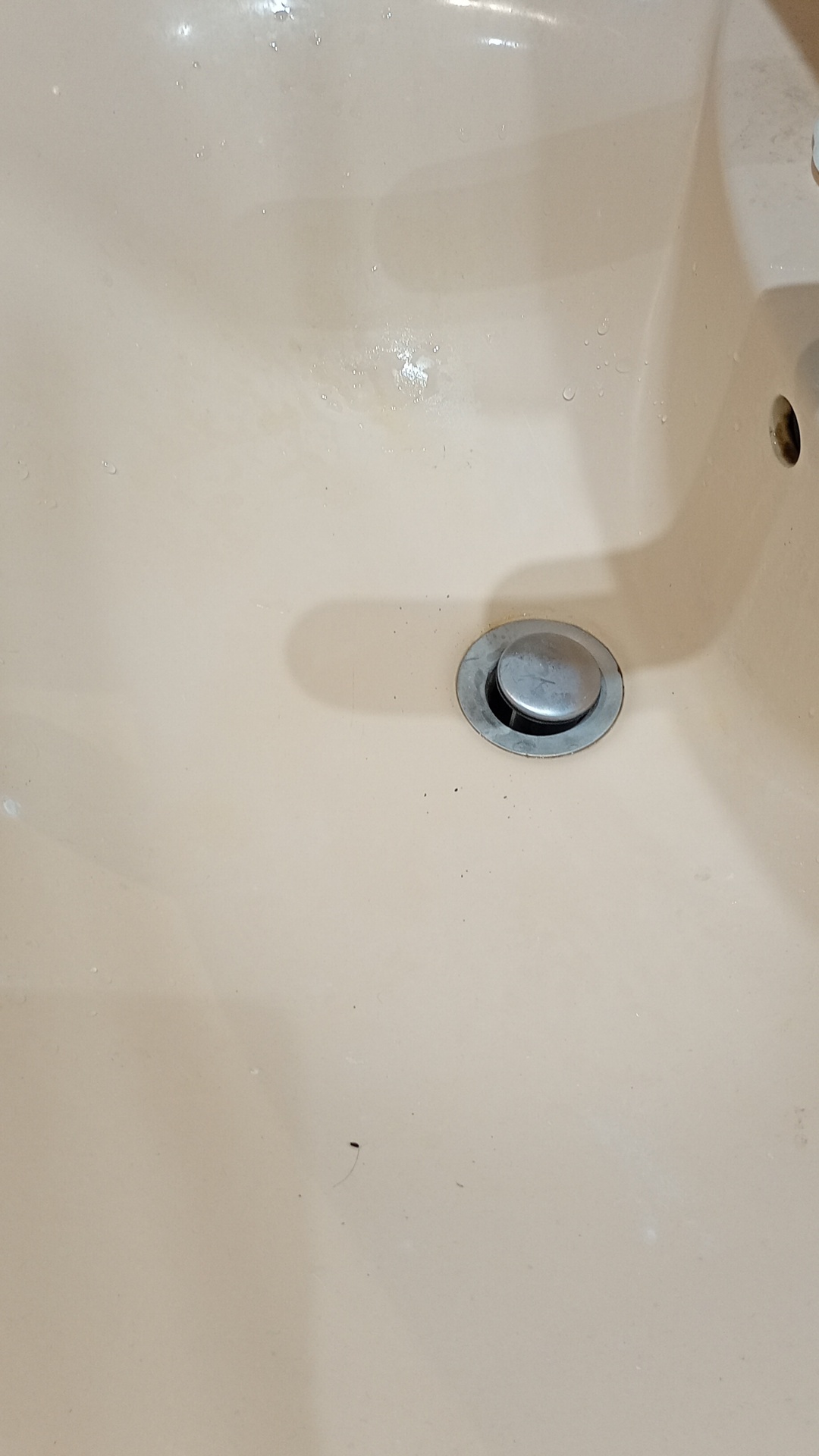 Before photo for Deep Cleaning