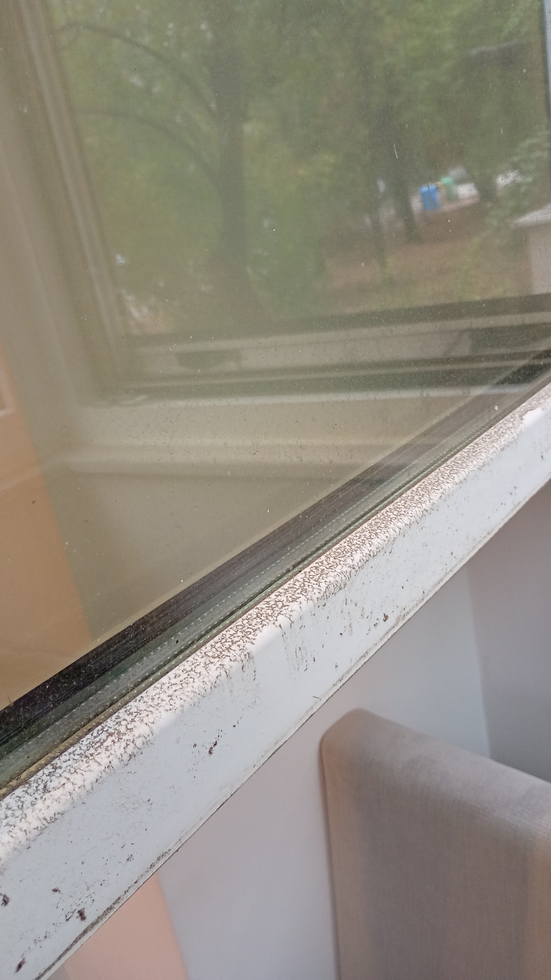 Before photo for Основно почистване