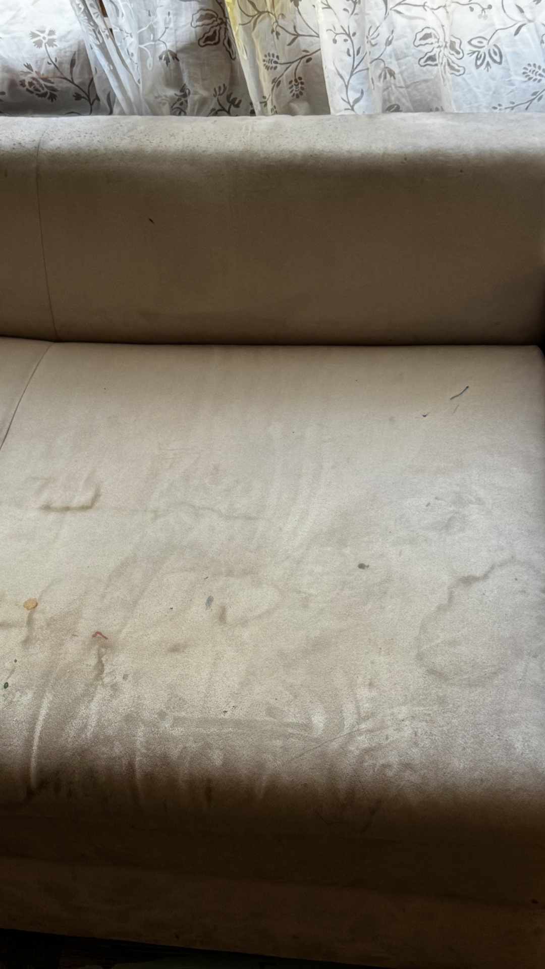 Before photo for Upholstery Cleaning