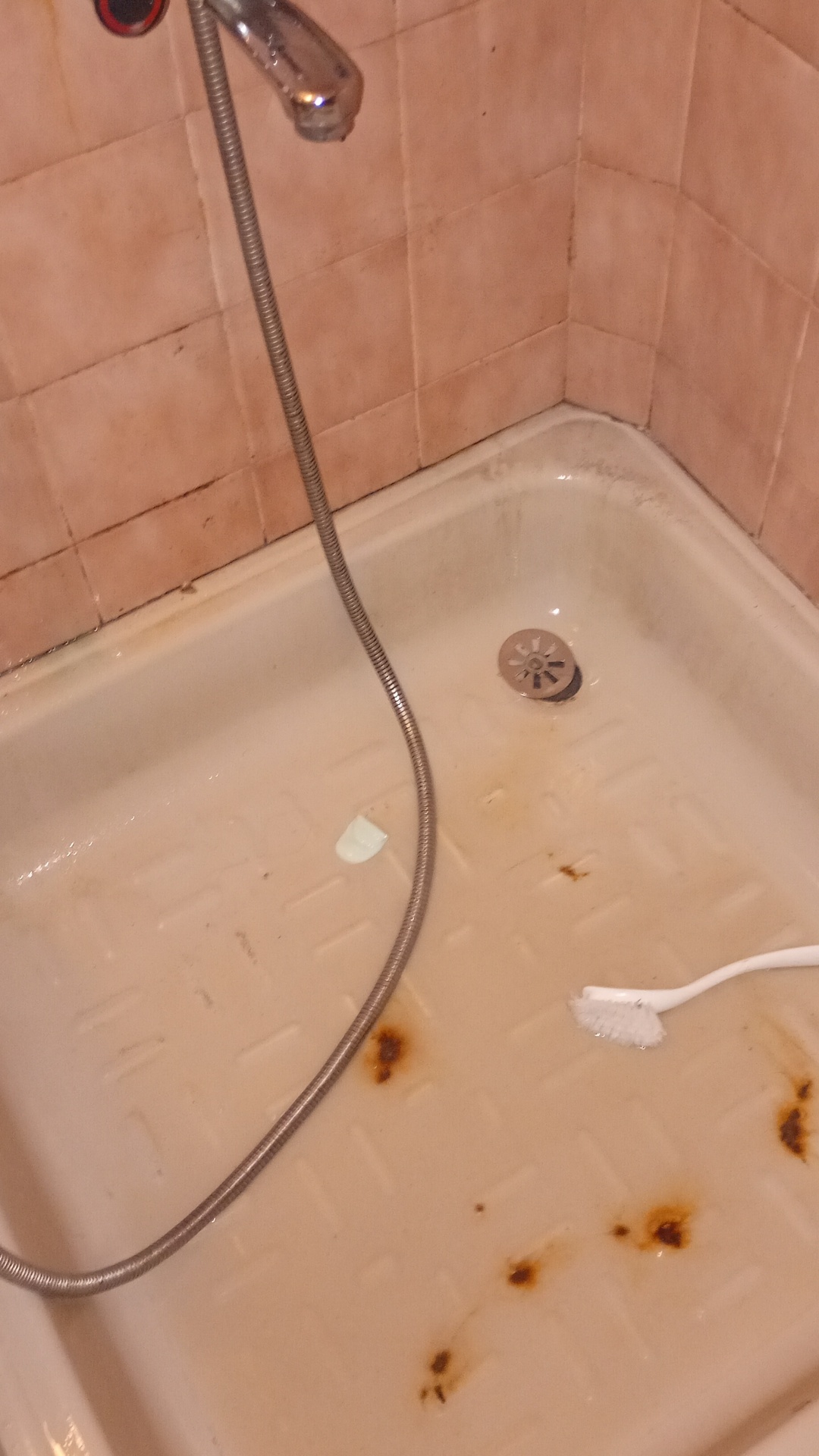 Before photo for Deep Cleaning