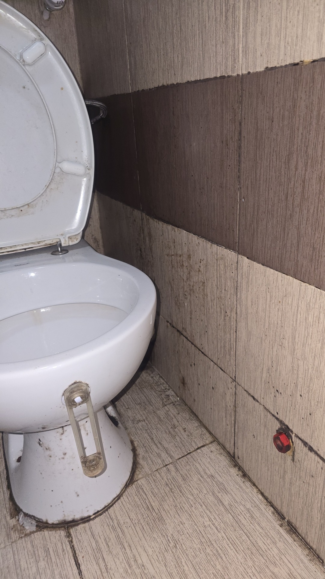 Before photo for Deep Cleaning