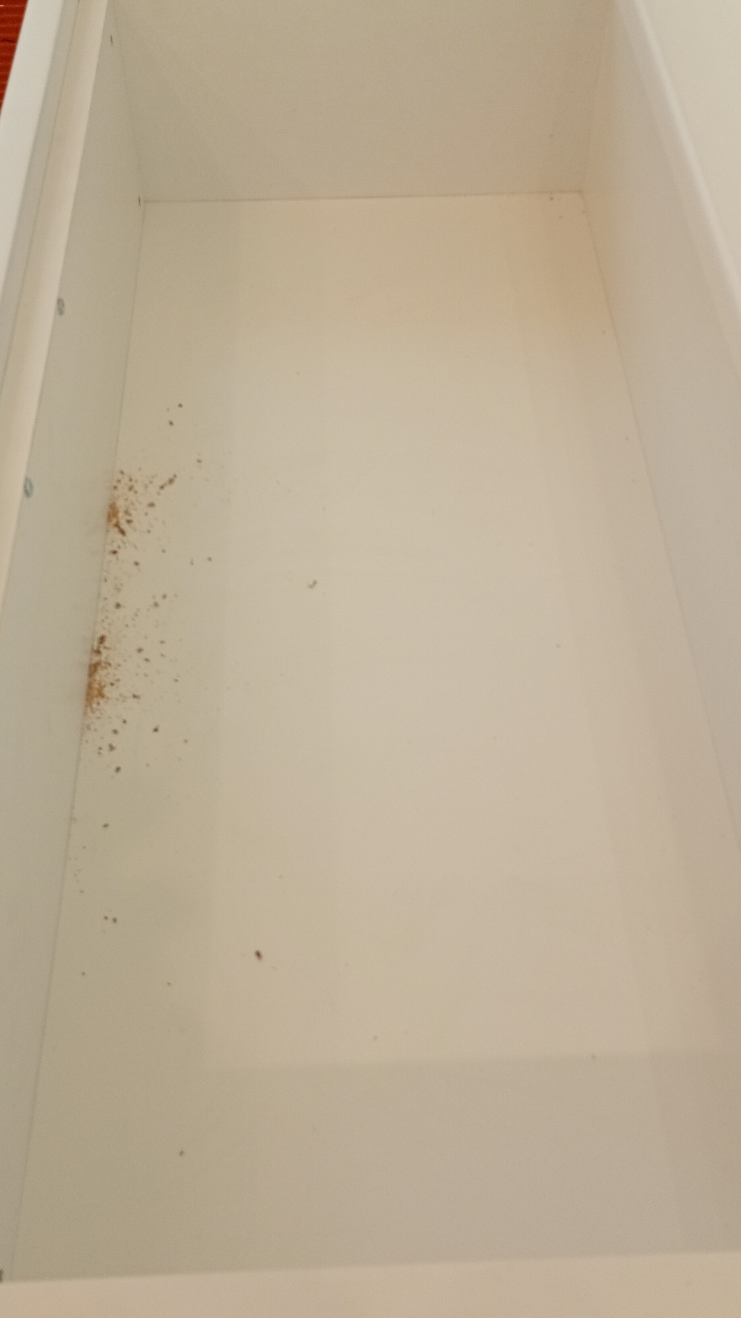 Before photo for After Renovation Cleaning