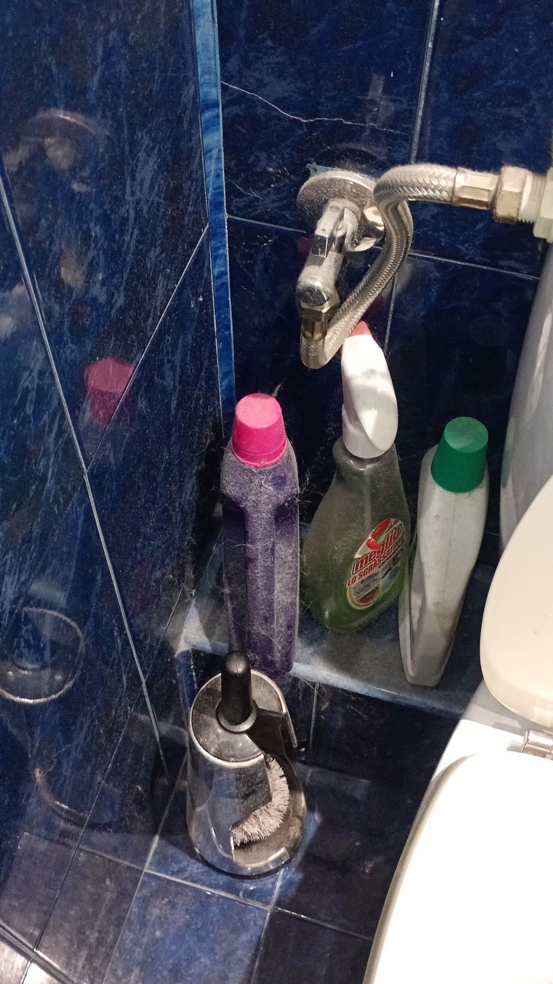 Before photo for Deep Cleaning