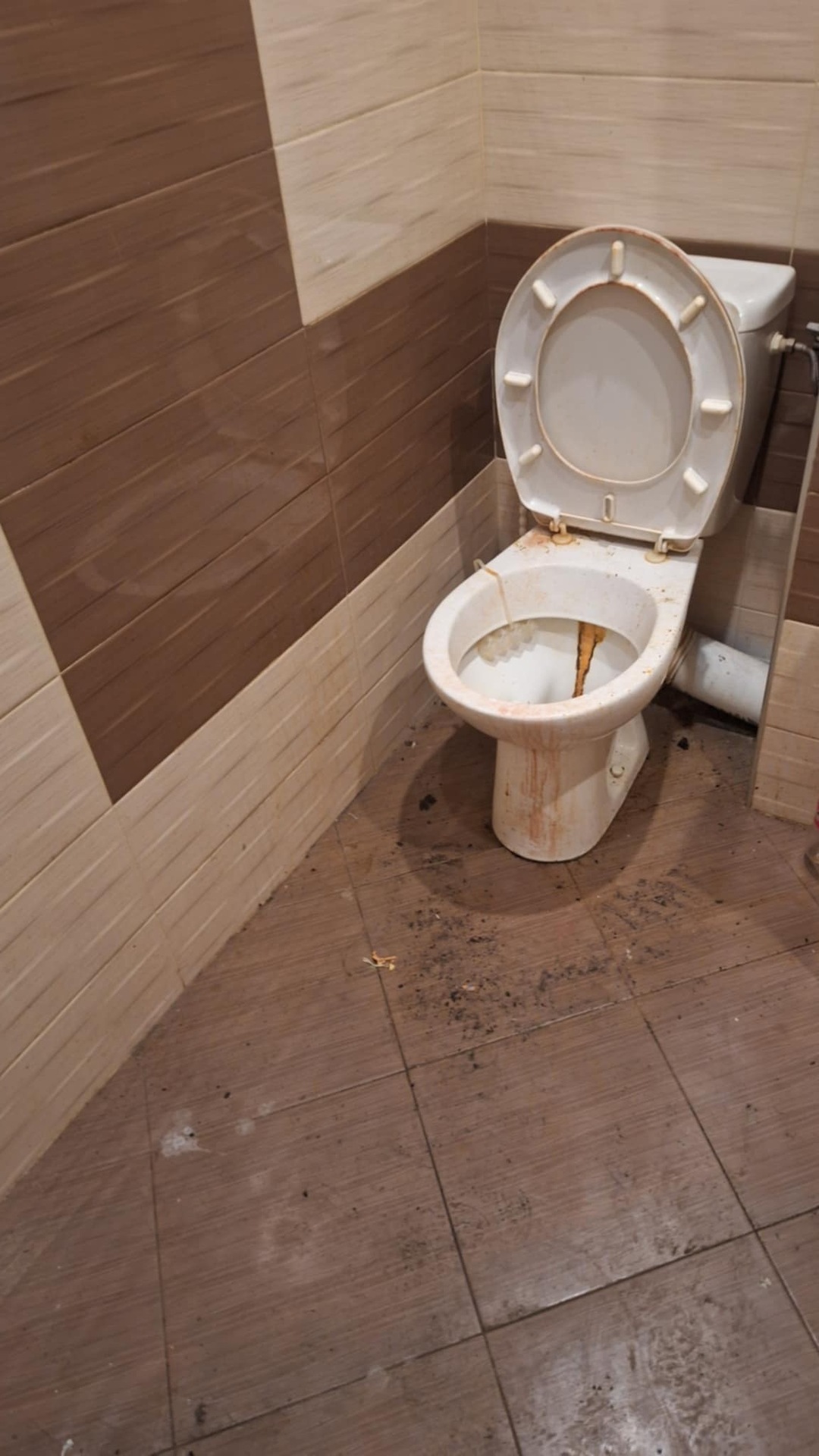 Before photo for Основно почистване